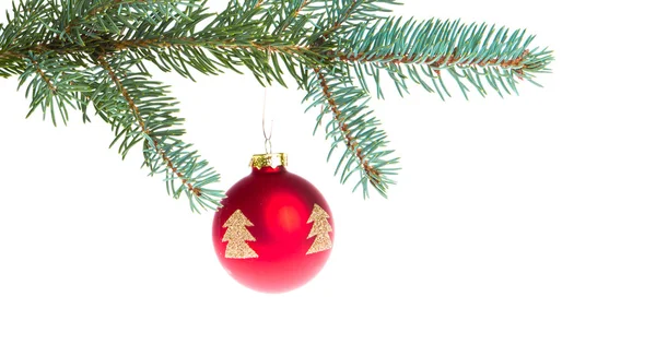 Palla di Natale rossa su ramo — Foto Stock
