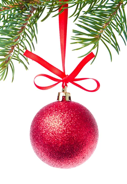 Κόκκινη Χριστουγεννιάτικη χοροεσπερίδα που κρέμονται από το δέντρο — Φωτογραφία Αρχείου