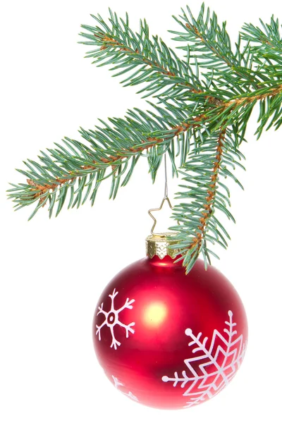 Ball hanging from spruce christmas tree — Stock Photo, Image