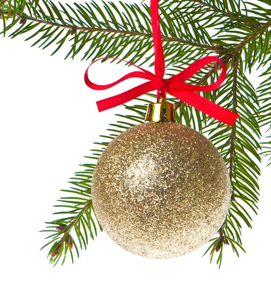 Christmas balls hanging from tree — Stock Photo, Image