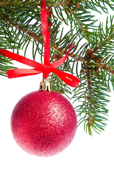 Rote Weihnachtskugel hängt am Baum Stockbild