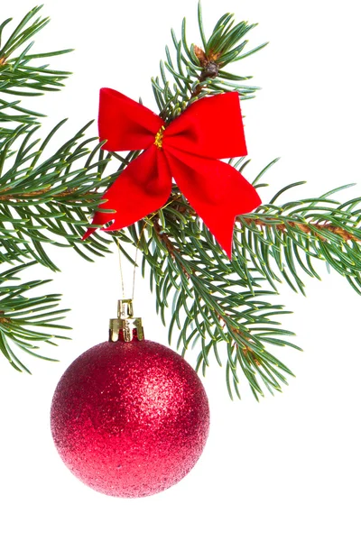 Christmas ball on branch — Stock Photo, Image