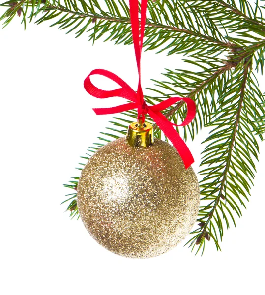 Christmas balls hanging from tree Stock Picture