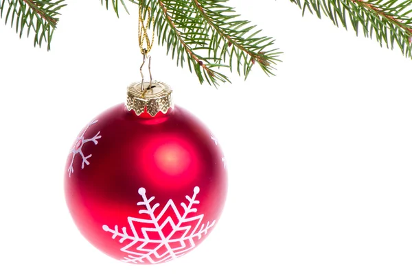 Red ball hanging from spruce christmas tree Royalty Free Stock Photos