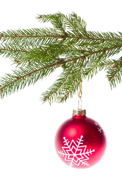 Red ball hanging from spruce christmas tree — Stock Photo, Image