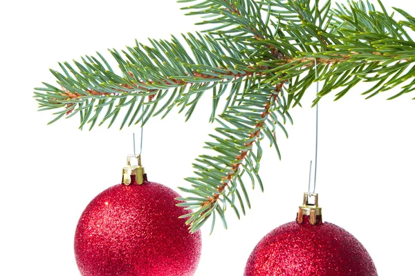 Red christmas ball hanging from tree Stock Image