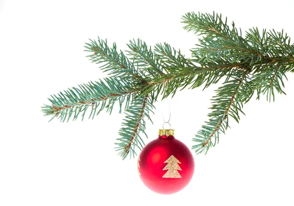Red christmas ball on branch Stock Image