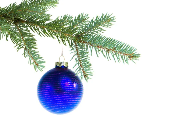 Christmas ball on branch Stock Image