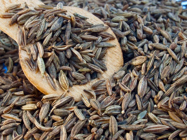 Indian cumin seeds — Stockfoto