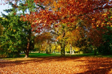 sonbahar bir Şehir Parkı