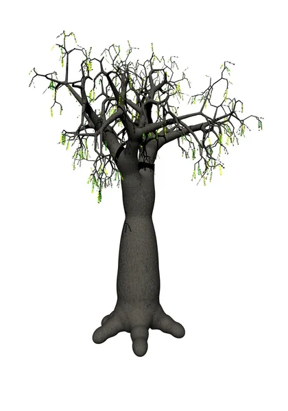 Árbol de Baobab —  Fotos de Stock