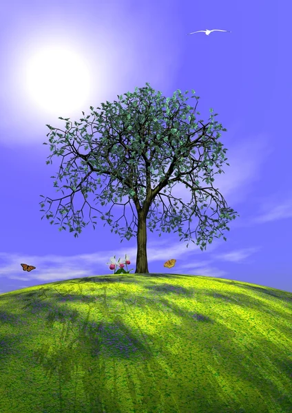 Summer tree and nature — Stock Photo, Image