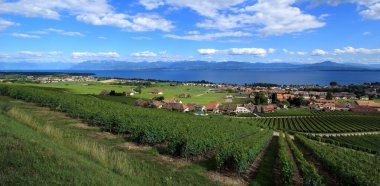 Terraced vineyards of Lavaux at Lake Geneva, Switzerland clipart