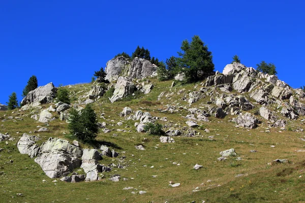 ธรรมชาติที่ Cayolle Pass, ฝรั่งเศส — ภาพถ่ายสต็อก