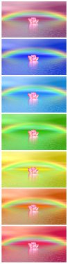 Chakra colors of lily flower un der rainbow