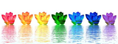Lily flowers chakras clipart