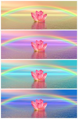 Lily flowers under rainbow clipart