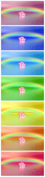 stock image Chakra colors of lily flower un der rainbow