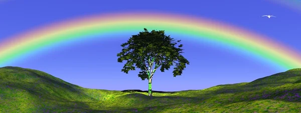 Tree under rainbow — Stock Photo, Image