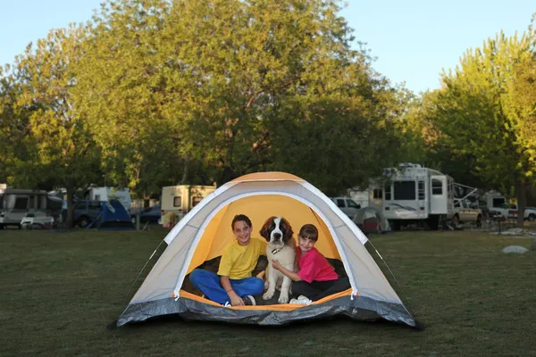 Girls and Dog in a Tent While Camping — Stock Photo, Image
