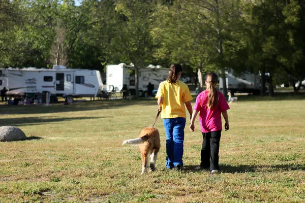 Chicas paseando a un perro mientras acampan —  Fotos de Stock