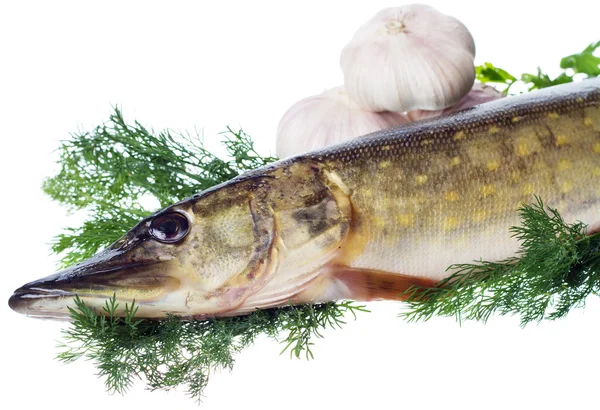 Pike crud cu ingrediente de gătit — Fotografie, imagine de stoc