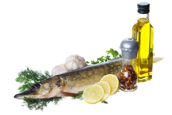 Raw pike with cooking ingredients — Stock Photo, Image