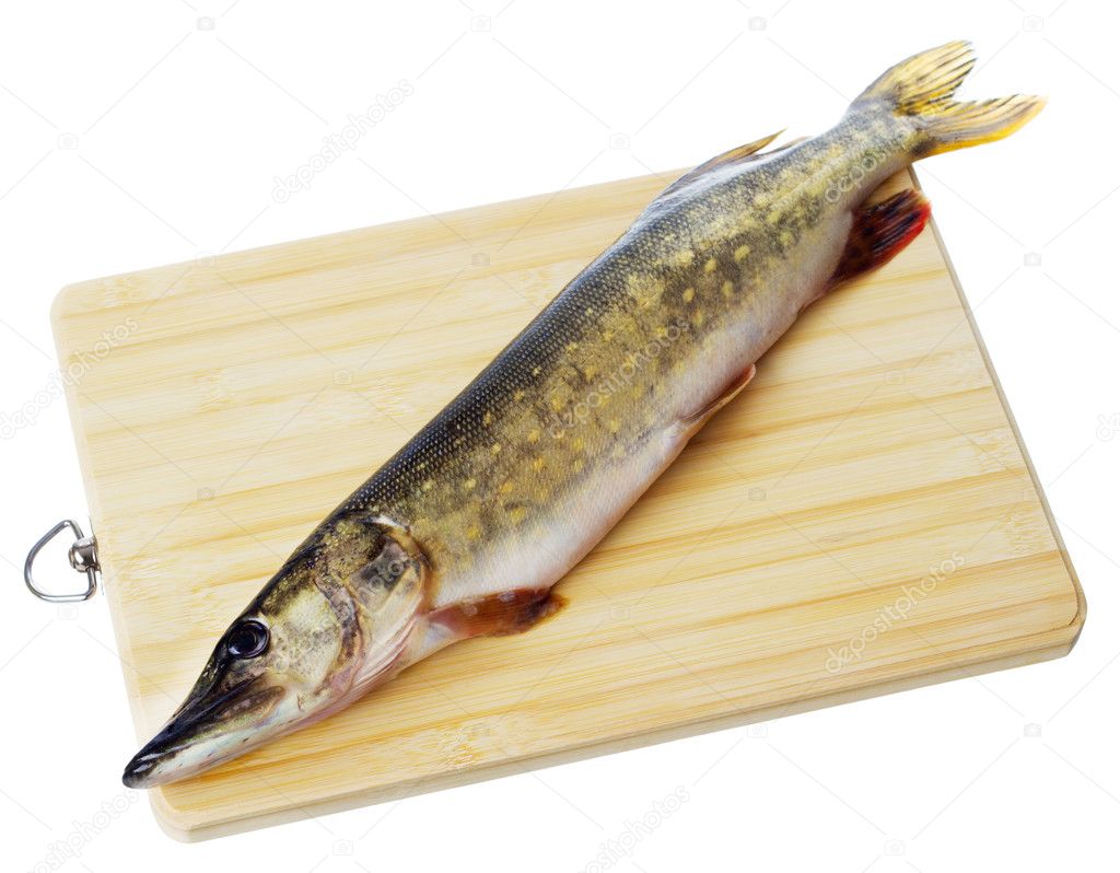 Raw pike with cooking ingredients