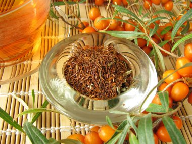 Rooibos tea with fruits of sea buckthorn clipart