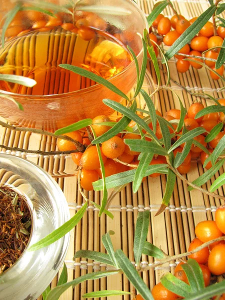 Herbata Rooibos z owoców rokitnika — Zdjęcie stockowe