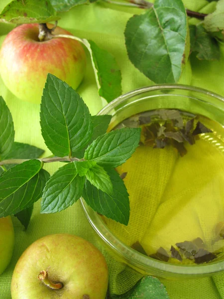 Яблочное мятное желе — стоковое фото