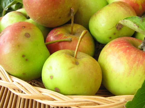 Appels uit weide boomgaard — Stockfoto