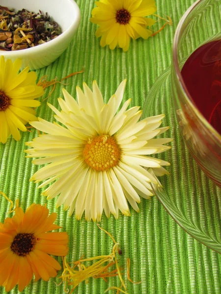 Frukt te med blommor från ringblommor — Stockfoto