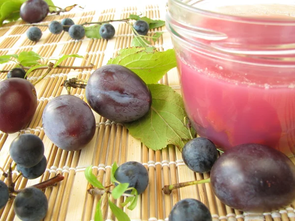 Dżem z owoców tarniny i śliwek — Zdjęcie stockowe