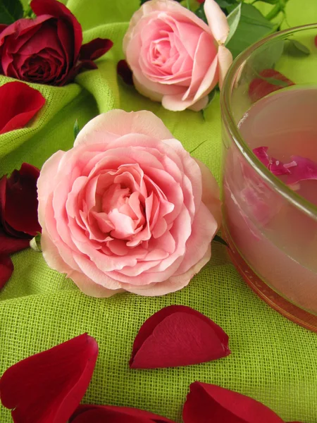 Geléia de flor rosa — Fotografia de Stock