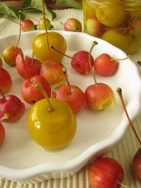 Verduurzaamde mini-appels — Stockfoto