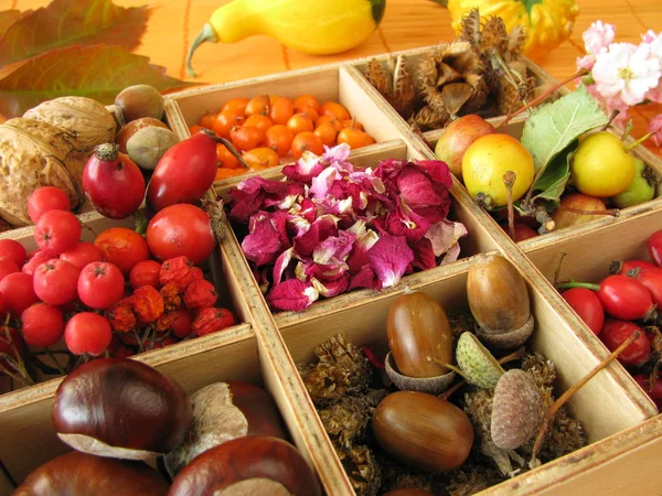 stock image Collecting box with fall fruits and dried rose flowers