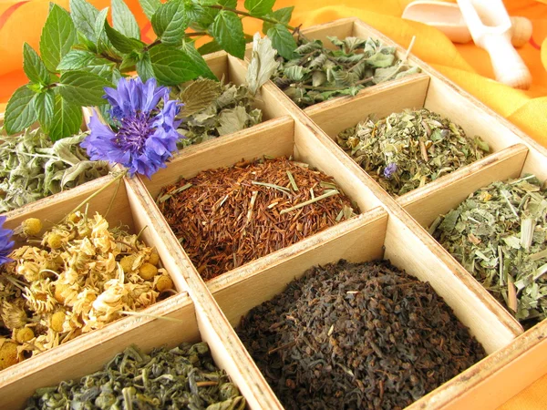 Caja de té con tipos de té sueltos — Foto de Stock