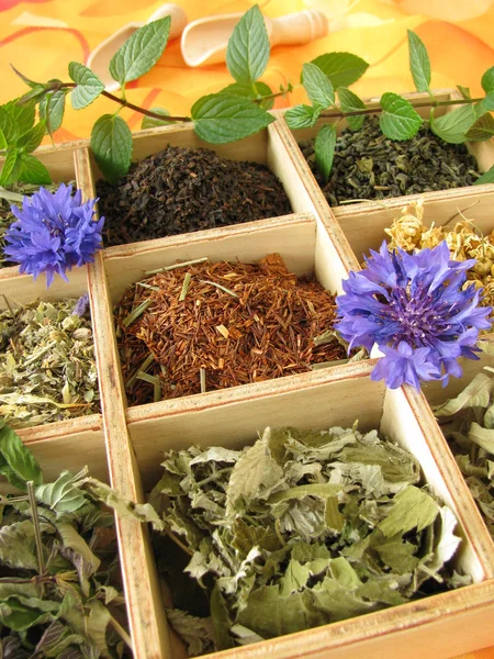 Чайная коробка со свободными видами чая — стоковое фото