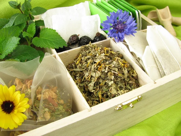 Çay çeşitli gevşek çay, çay poşetleri ve taze çay otlar ile — Stok fotoğraf