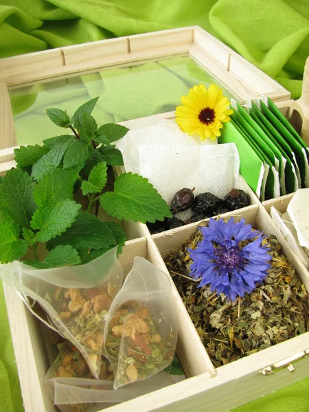 Variedad de té con té suelto, bolsas de té y hierbas de té fresco —  Fotos de Stock