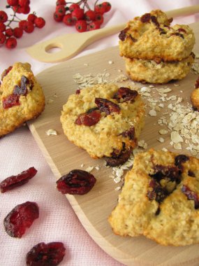 Oat flakes cookies with cranberries clipart