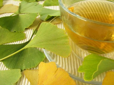 Ginkgo çay