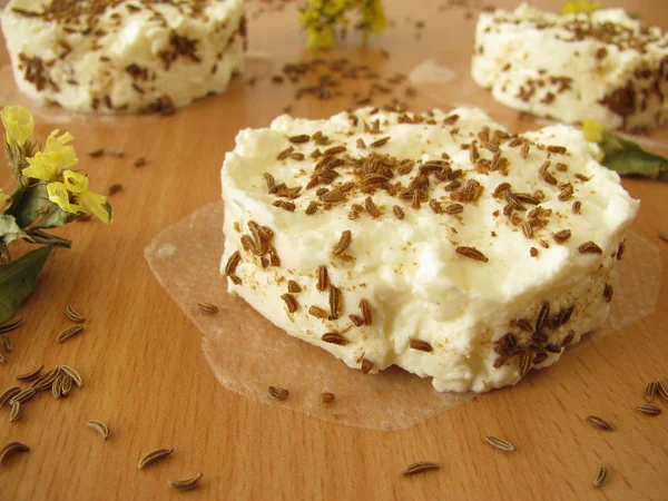 Homemade caraway cheese — Stock Photo, Image