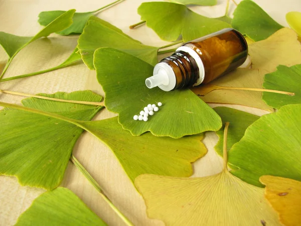 Ginkgo ve Homeopatik ilaçlar — Stok fotoğraf
