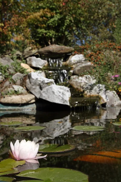 stock image Zen garden