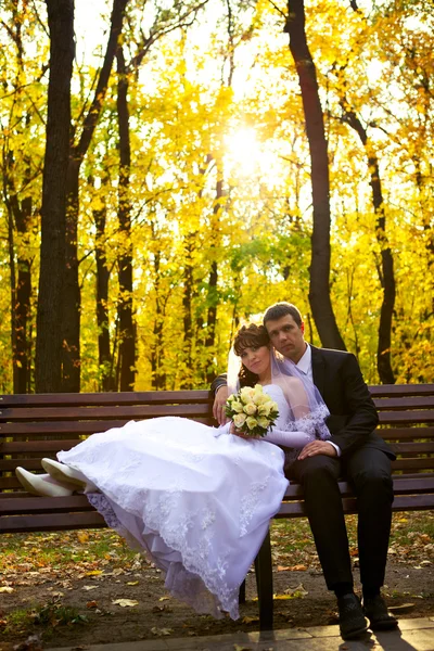 Bride and Groom — Stock Photo, Image