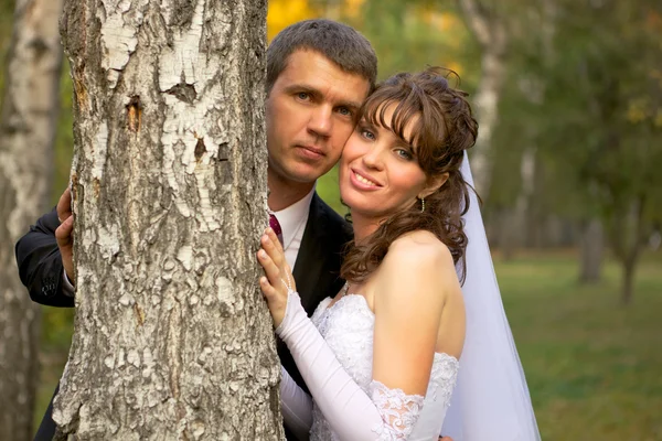 Bruid en bruidegom portret — Stockfoto