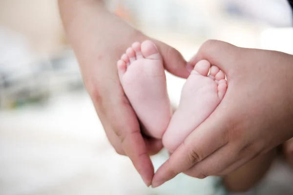 Fuß des Babys — Stockfoto