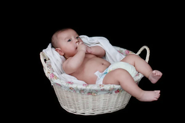 可爱的小宝贝在黑色背景的篮子里 — 图库照片